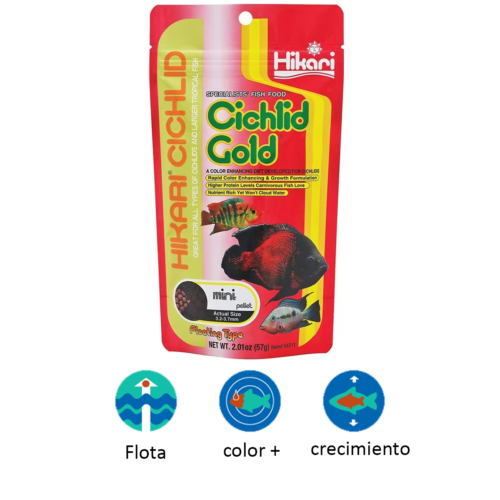 Hikari CICHLID GOLD® Mini 8.8 oz es un alimento premium flotante para cíclidos medianos y juveniles que realza el color, mejora el crecimiento y fortalece la salud. Disponible en Acuastock.com