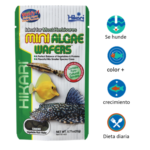 Hikari Mini Algae Wafers™ – 0.77 Oz es un alimento premium en mini wafer hundible, ideal para peces herbívoros y comedores de algas pequeños, como otocinclus, plecos juveniles y corydoras, ofreciendo nutrición balanceada y agua más limpia. Disponible en Acuastock.com