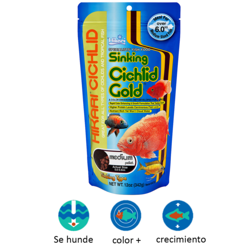 Hikari SINKING CICHLID GOLD® Medium – 12 oz es un alimento premium hundible para cíclidos medianos y grandes que realza el color, mejora la digestión y fortalece la salud. Ideal para peces que se alimentan en el fondo. Disponible en Acuastock.com