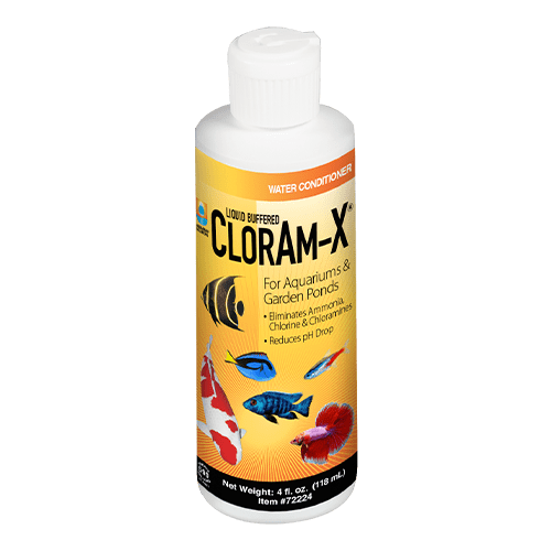 Hikari CLORAM-X® Ammonia Remover 4 Oz para acuarios, elimina amoníaco y trata hasta 240 galones – disponible en República Dominicana.