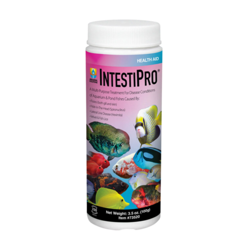 Hikari AS IntestiPro 3.5 Oz tratamiento en polvo para peces ornamentales, apoyo digestivo y control interno – disponible en República Dominicana.