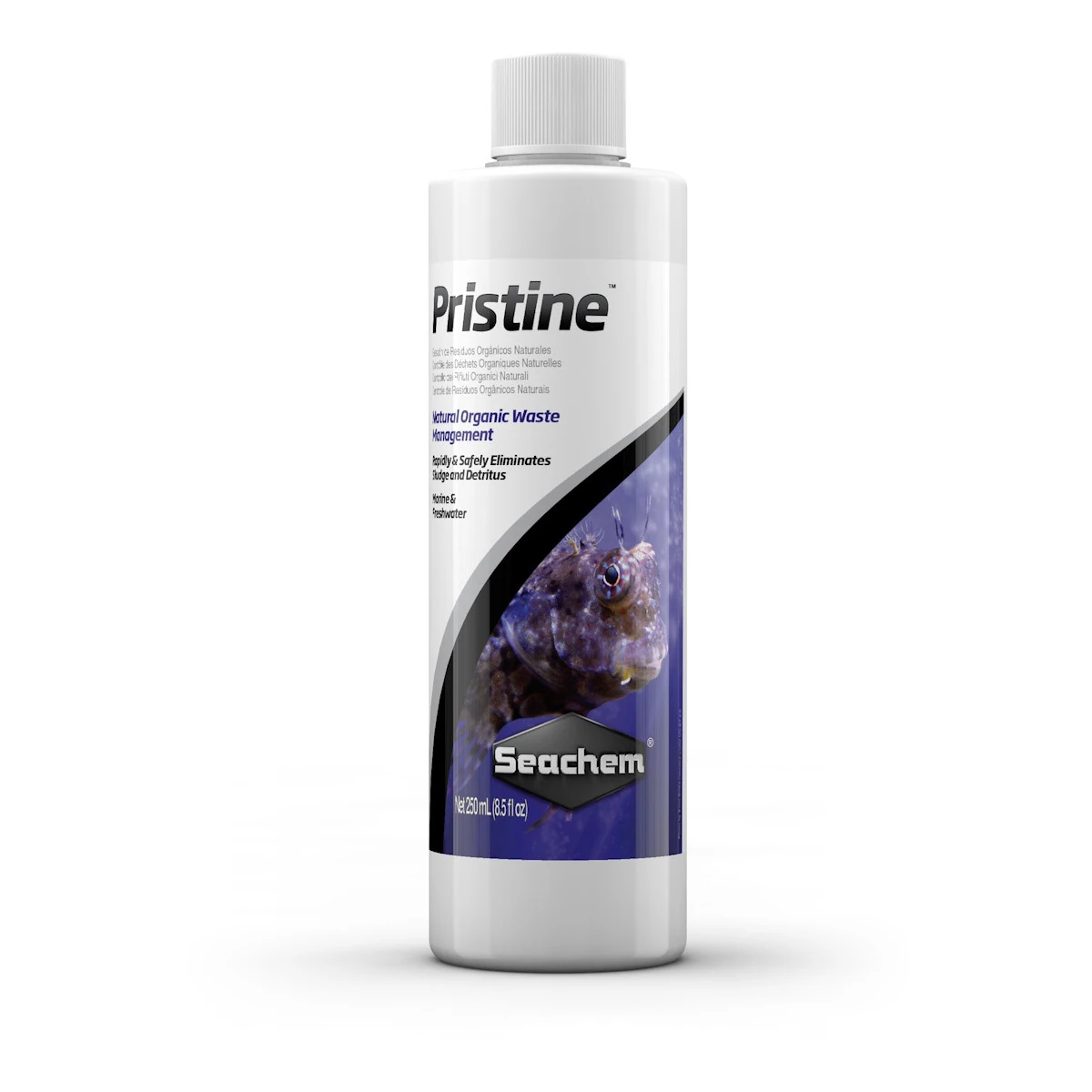 Seachem Pristine 250ml – Bacterias Beneficiosas para Limpiar Acuarios y ...
