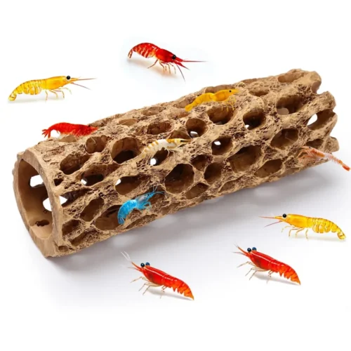 Hygger HC020-1PCS Tronco Cholla Decorativo de Resina para Acuario (15 cm)