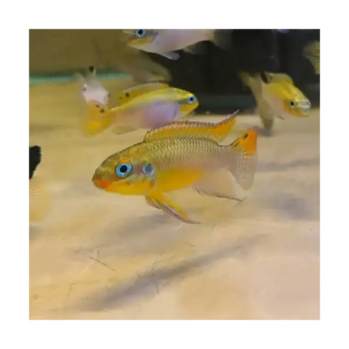 0f8b3d480b9b