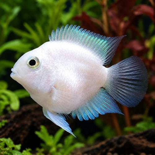 696aa6f4f4e3
